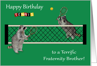 Birthday to Fraternity Brother, Raccoons playing tennis with rackets card