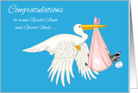 Congratulations on becoming Great Aunt and Great Uncle, grandniece card