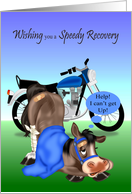 Get Well from a Motorcycle Accident with a Horse Wearing a Bandage card