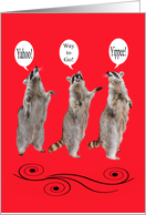Congratulations with Raccoons on a Red and Black Swirl Background card
