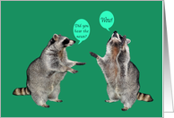 Congratulations, general, raccoons with talk bubbles on light green card