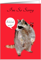 Apology, general. I’m Sorry, raccoon with the devil on it’s shoulder card