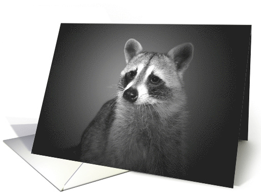 Blank Note Card Any Occasion Portrait of a Beautiful... (568711)