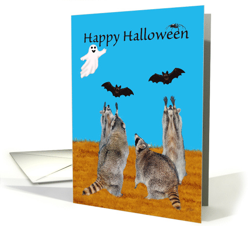 Halloween with Four Raccoons Reaching for Bats and a Ghost card