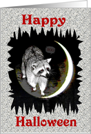 Halloween, raccoon with red eyes by a new moon on black and white card