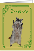 Congratulations with a Raccoon Applauding Shouting Bravo card