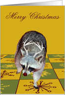 Christmas, general, Raccoon with red nose and antlers on gold card