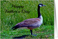 Father’s Day to Husband from Wife, Goose in a grassy area card