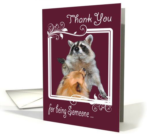 Thank you for Someone To Look Up To with a Raccoon and Pomeranian card
