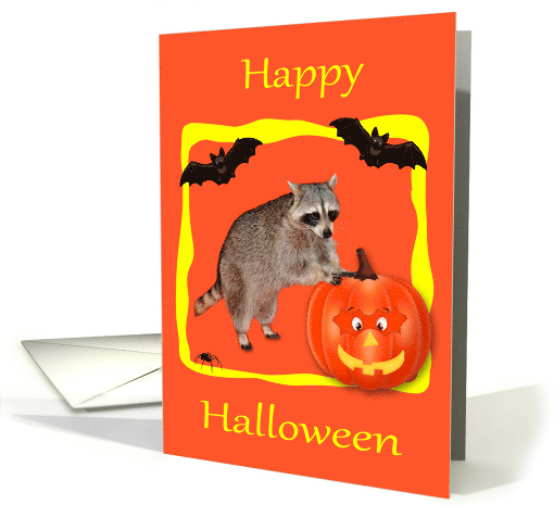 Halloween, general, Raccoon, jack-o-lantern, bats, yellow... (644349)