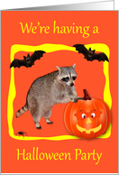 Invitations to Halloween Party, Raccoon with jack-o-lantern and bats card