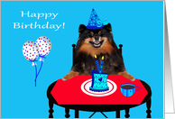 Birthday, general, Pomeranian wearing a party hat with a piece of cake card