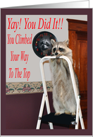 Business Success, general, Raccoon on top of a ladder on purple, red card