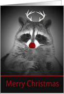 Christmas Card with a Raccoon with a Red Nose and Antlers in b&w card