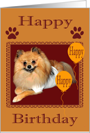 Birthday with a Pomeranian Laying Down and Gold Ballooons on Brown card