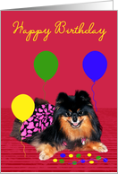 Birthday Card with a cute Pomeranian and Colorful Balloons on Pink card