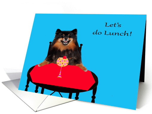 Invitations to lunch, humor, Pomeranian drinking her... (690836)