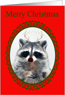 Christmas, general, raccoon with red nose and antlers in a green frame card