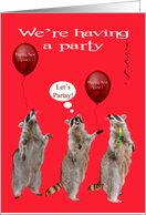 Invitation to New Year’s Eve Party with Raccoons and a Noise Maker card