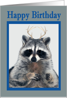 Birthday, general, humor, raccoon with antlers in blue frame on gray card