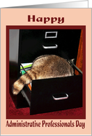 Administrative Professionals Day, Raccoon in file cabinet card