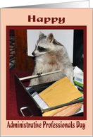 Administrative Professionals Day, Raccoon in file cabinet card