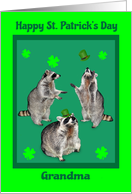 St. Patrick’s Day to Grandma, raccoons with shamrocks, hats on green card