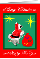 Christmas Card with a Raccoon Santa Claus and a Big Red Bag card