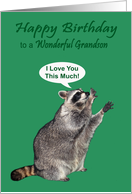 Birthday for Grandson, raccoon holding hands apart on green card