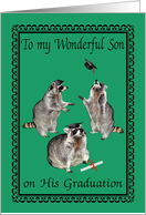 Congratulations To My Son, graduation, raccoons with graduation caps card