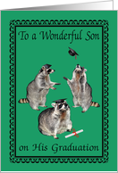 Congratulations to Son, graduation, raccoons with graduation caps card