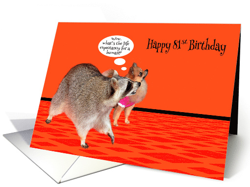 81st Birthday, adorable raccoon with cute Pomeranian on orange card