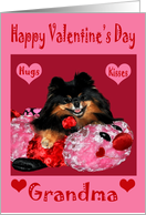 Valentine’s Day to Grandma, Pomeranian with conversation hearts, red card