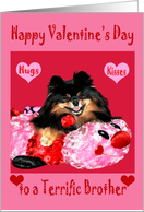 Valentine’s Day to Brother a Pomeranian Laying on a Bug with Hearts card