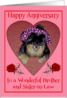 Anniversary to Brother and Sister in Law with a Pomeranian Smiling card