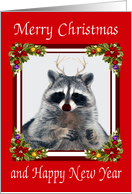 Birthday on Christmas, general, Red Nose Raccoon, antlers, poinsettia card