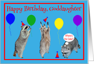 Birthday to Goddaughter, Raccoons with party hats and balloons, blue card