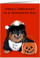 Halloween to Son with a Pomeranian Smiling in Skunk Costume card