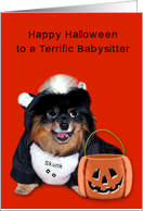 Halloween to Babysitter, Pomeranian smiling in skunk costume, orange card