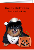 Halloween from All Of Us, Pomeranian smiling in skunk costume, orange card