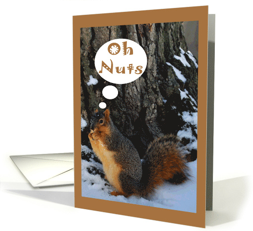 Belated Birthday with a Plump Squirrel Eating Nuts in the Snow card