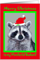 Christmas to Husband, raccoon wearing Santa Claus Hat on red, green card