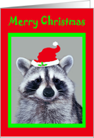 Christmas Card with an adorable Raccoon Wearing a Santa Claus Hat card