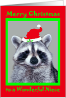 Christmas to Niece, raccoon wearing Santa Hat in a green frame, red card