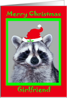 Christmas to Girlfriend, raccoon wearing Santa Hat in a green frame card
