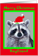 Christmas to Boyfriend, raccoon wearing Santa Hat in a green frame card