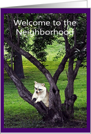 Welcome to the neighborhood with a Raccoon Leaning on a Tree card