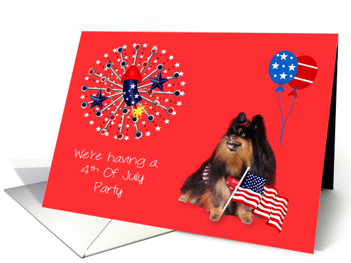 Invitations, 4th Of July Party, Pomeranian watching... (820108)
