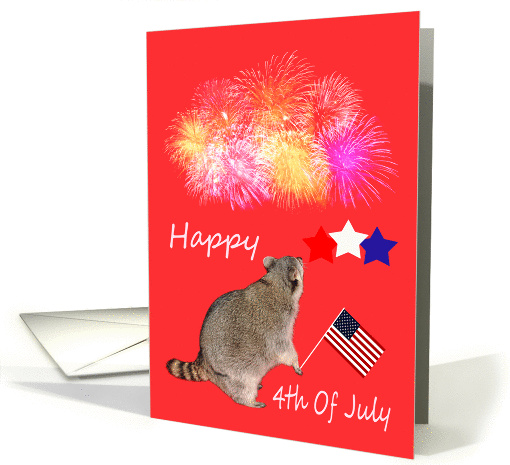 4th Of July, general, Raccoon watching fireworks with flag... (820444)