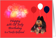 Birthday On 4th Of July to Girlfriend, Pomeranian watching fireworks card